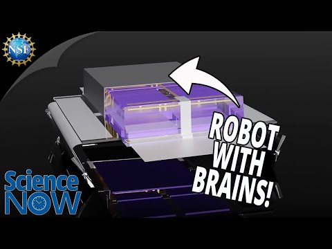 Giving Robots a Brain