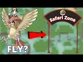 Catch Safari Zone Pokemon OUTSIDE the Safari Zone!? - Obscure Safari Zone Facts