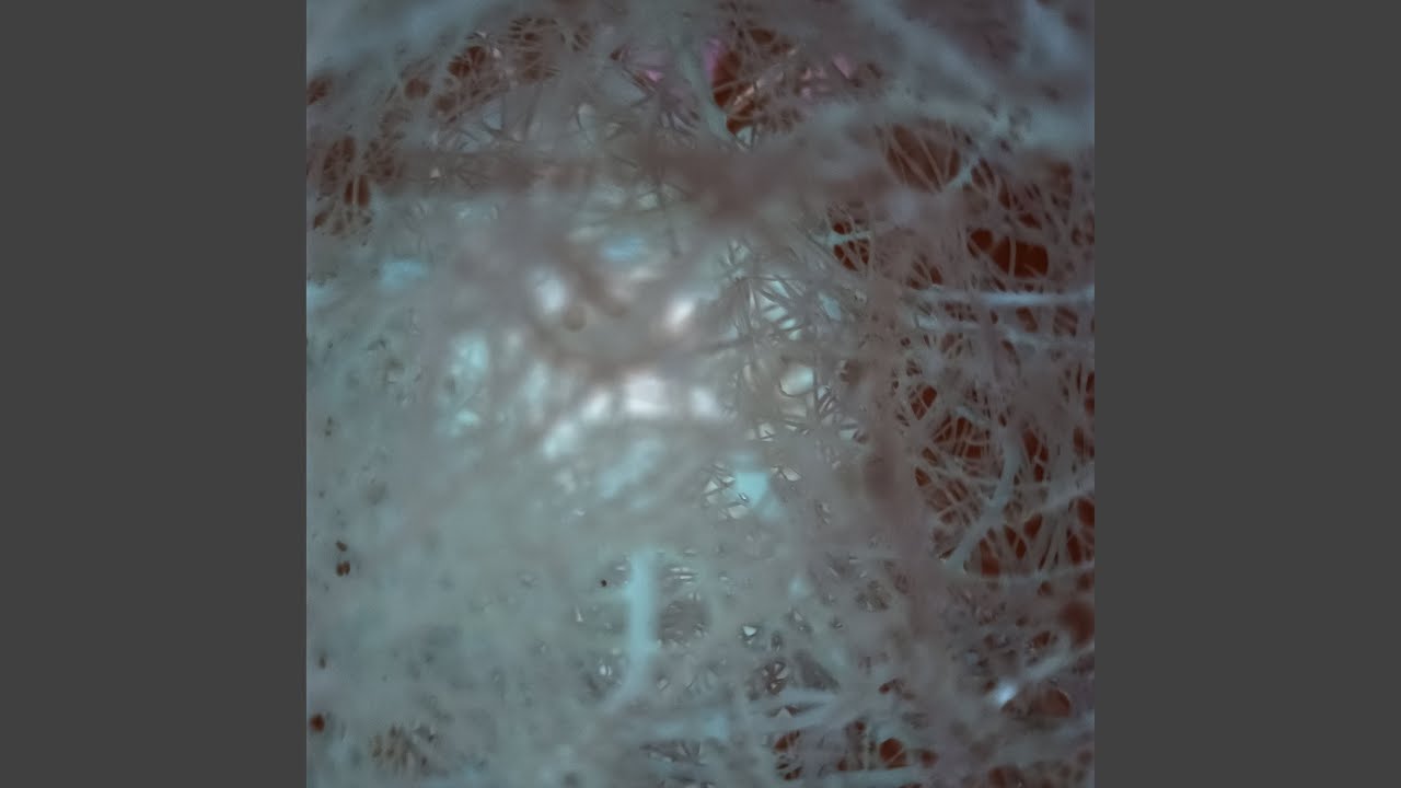 Watch Humane on YouTube Watch Humane on YouTube