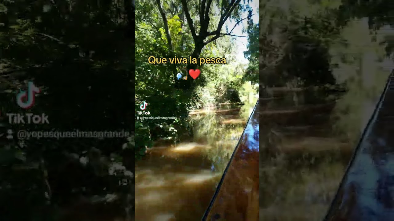 Que viva la pesca 🎣❤️😃
