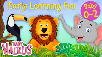 Early Learning Fun Collection | Jungle Animals and their Sounds | Counting & Colors | Educational