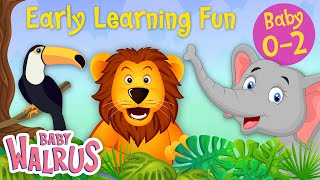 Early Learning Fun Collection Jungle Animals And Their Sounds Counting Colors Educational