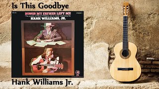 Watch Hank Williams Jr Is This Goodbye video