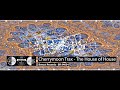 (1994) Cherrymoon Trax - The House Of House (Original Mix)