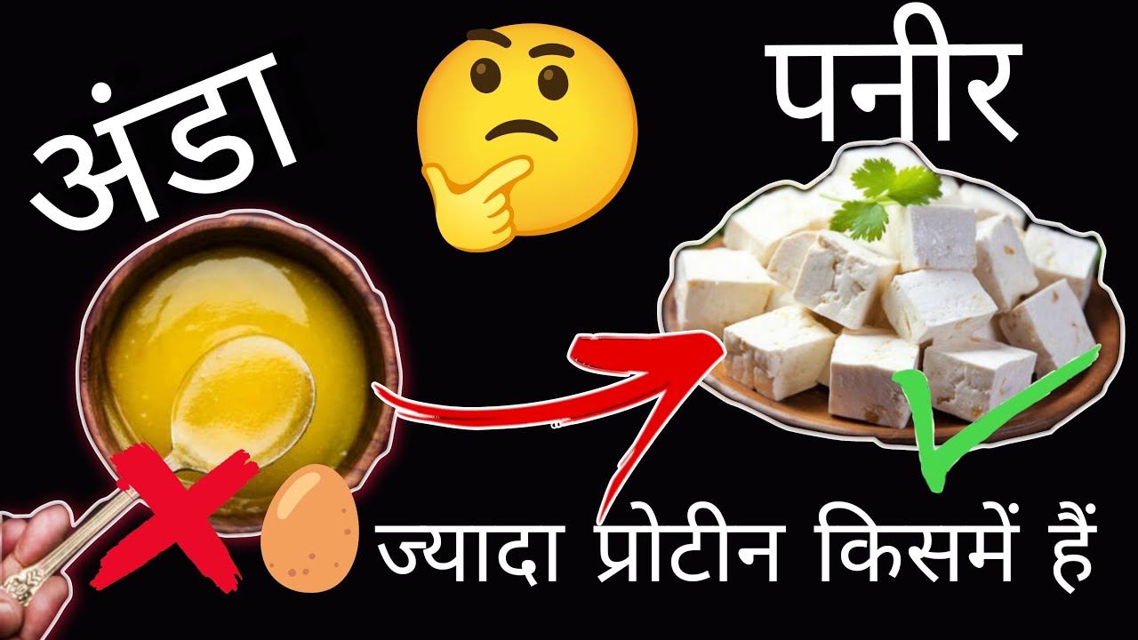 ज्यादा प्रोटीन किसमें हैं | Akhil baba