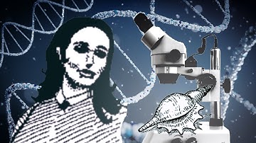 A "Scientific Analysis" of Return of the Obra Dinn