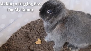 Making a Digging Box For My Bunny