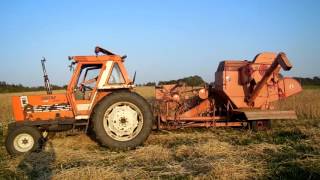 Fiat 880/5 harvesting