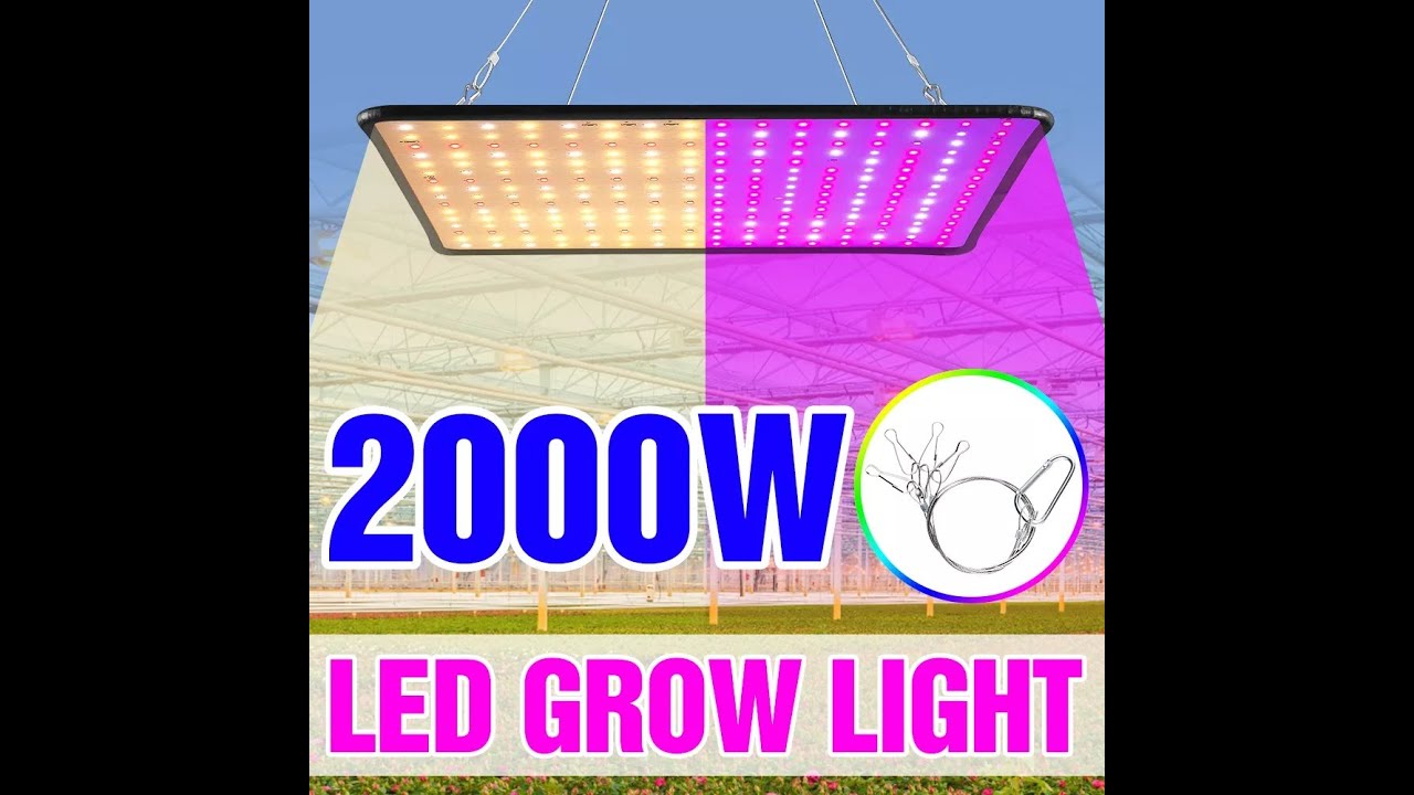 1000W LED Grow Light Full Spectrum Lamp 1500W 2000W LED Indoor Plant ...