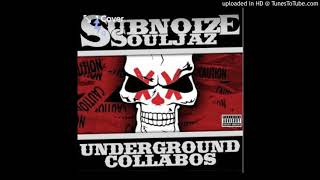 Sub Noize Souljaz - 10 - Party Monsters - Kottonmouth Kings & Tech N9Ne