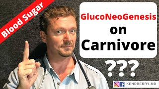 GLUCONEOGENESIS on Carnivore Diet (Too Much Protein = GLUCOSE?)