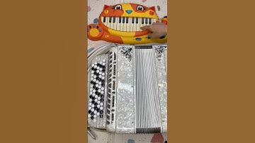 Catnap song on Cool real instruments #song #on #youtubeshorts #cats
