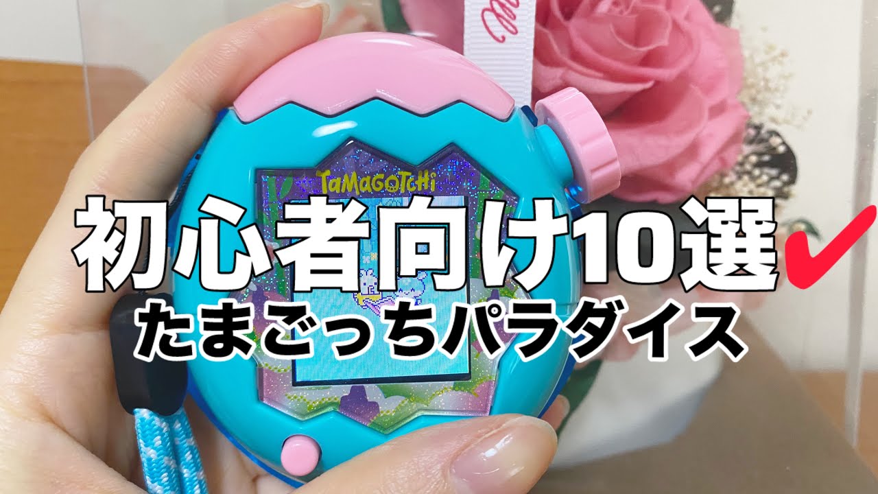 【初心者ガイド】たまごっちパラダイスで最初に知るべき10選｜【遊び方】