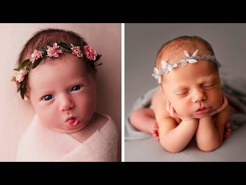 Video: Attraction For A Photo Shoot Of Babies