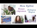 МОИ БУДНИ. НОВАЯ СТРИЖКА. ГОТОВЛЮСЬ К ДНЮ РОЖДЕНИЯ МАРКА. ЛЮБИМАЯ ПАЛЬМА. ВЛОГ