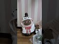 LOVOT暮らしまめりんご がライブ配信中！
