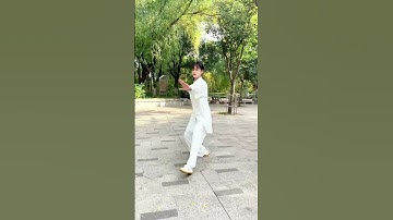 Thumbnail of 游龙戏凤太极拳，打的真漂亮#shorts #kungfu