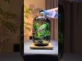 How to Setup a Luxury Fish Tank for under ₹300! 🐠