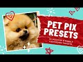 30 pet pix desktop  mobile lightroom presets  enhance your pet photos with vibrant tones