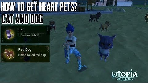 How to tame Dog And Cat?Heart Pets!! | UTOPIA ORIGIN |