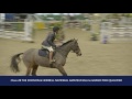 Class 2B - THE DODSON & HORRELL NATIONAL AMATEUR 85cms GRAND PRIX QUALIFIER