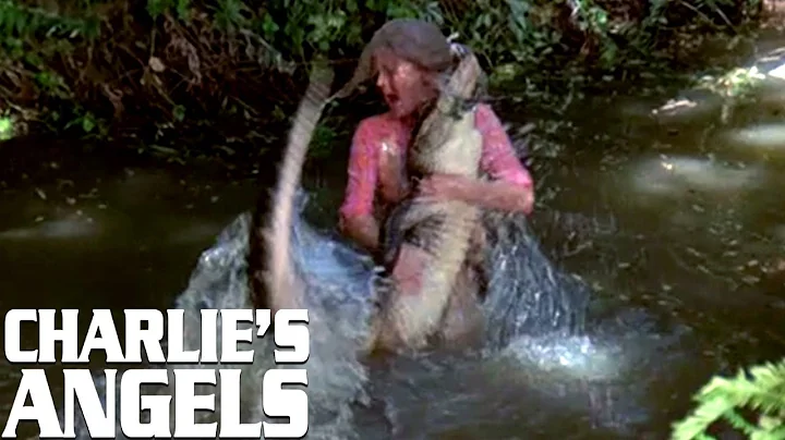 Charlie's Angels | Kris Wrestles An Alligator | Cl...