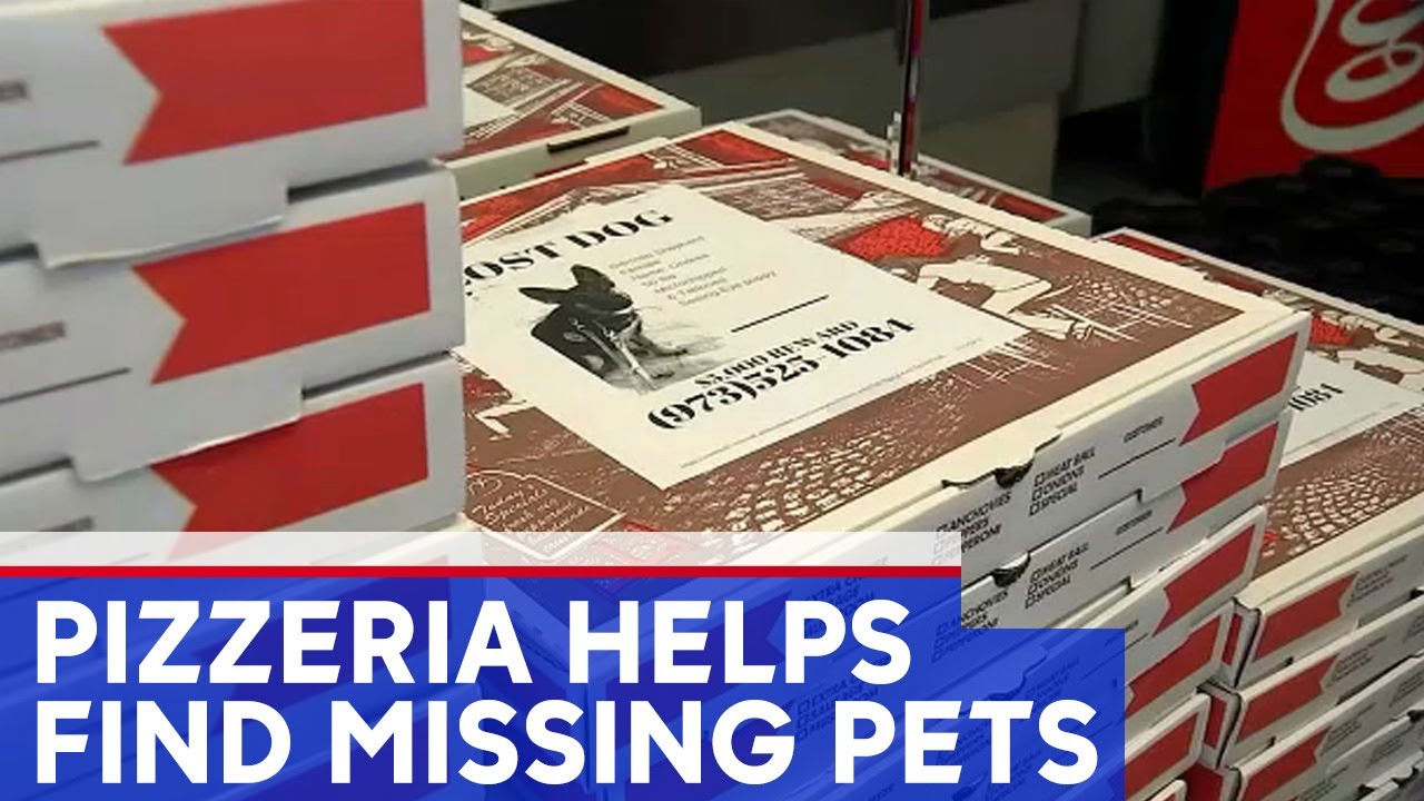 Pizzeria Puts Flyers Of Missing Pets On Pizza Boxes Youtube