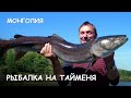 Мир Приключений - Рыбалка на Тайменя. Лучшее путешествие в Монголию. Taimen fishing. Mongolia.