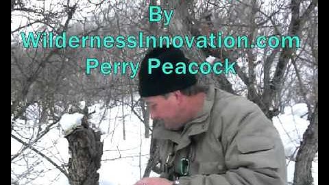 Quick Tip - Dry Tinder in Snowy Woods