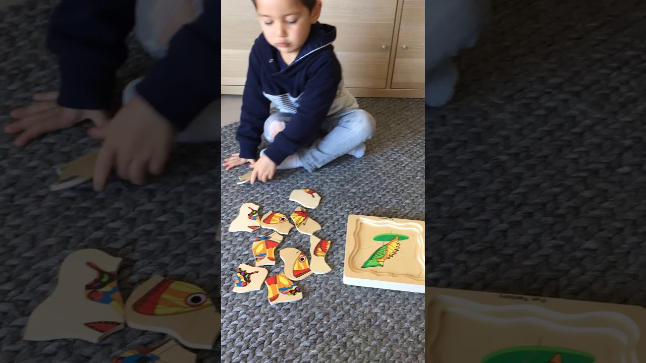 Download Layered Butterfly Wooden Puzzle Life Cycle Bright Tomato Learning Youtube