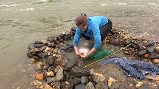 Catching Stream Fishing | Building A Fishing System On The Stream - Catch A Lot Of Fish Ep45