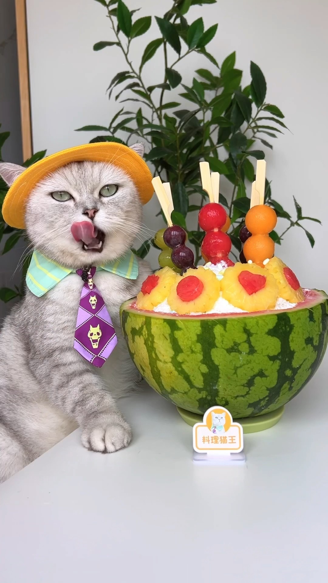 Sweet And Cool!❄️ Perfect Fruit Skewers For Summer!?? #catsofyoutube #foodlover #tiktok