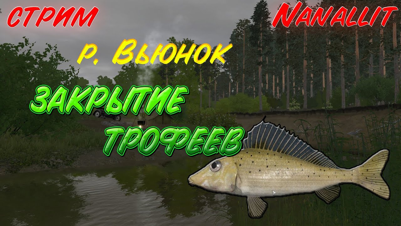 Стрим РР4. Закрываем Р. Вьюнок. Охотимся на трофейную рыбу. И просто ...