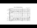 Miniature de la vidéo de la chanson Ein Heldenleben, Op. 40: The Hero