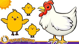 Tavuğum Gıt Gıt Gıdak Der · Eğitici Ve Eğlenceli Bebek ve Çocuk Şarkısı · Çizgi Film · Tatlış Tavşan