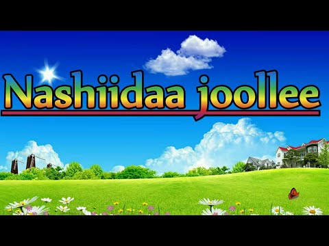 Nashiidaa Joollee Oromoo 1 2 3 Jedhee Jalqabaa
