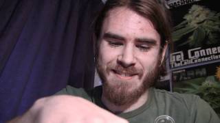 tokin daily: HIGH-JACKED