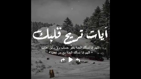 حالات دينية // قران كريم بصوت احمد النفيس // تلاوات خاشعة // مقاطع دينية //