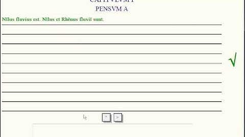 Lingua - 1.P - Reading Tutorial
