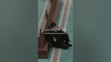 ﴿ لا تَحزَن إِنَّ الله مَعنَا ﴾ سوره التوبه، عبدالرحمن مسعد #قرآن #ارح_قلبك #ارح_سمعك #قران_كريم