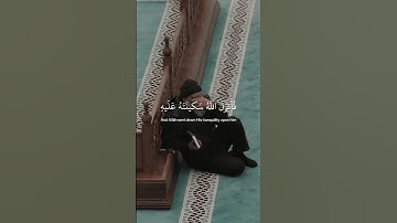 ﴿ لا تَحزَن إِنَّ الله مَعنَا ﴾ سوره التوبه، عبدالرحمن مسعد #قرآن #ارح_قلبك #ارح_سمعك #قران_كريم