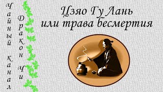 Цзяо Гу Лань - даже продавцы чая не знают, что это