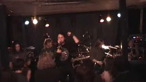 Flowers, Butterflies and Puppies My Shadow Live Sept 23rd 2008