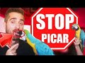 😱¿por qué PICAN los loros?😄👉¿cómo evitar PICOTAZOS? guacamayos,yacos,cacatuas, etc...