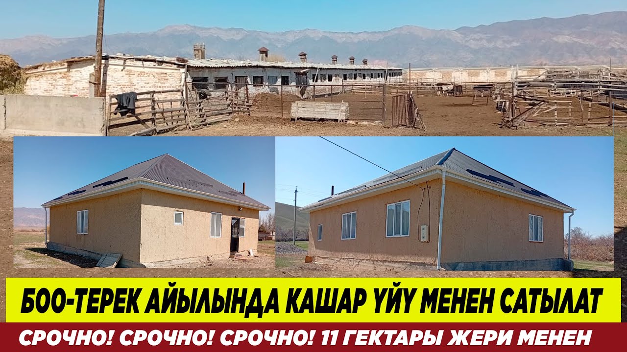 БОО-ТЕРЕК АЙЫЛЫНДА 11 ГЕКТАР ЖЕРИ МЕНЕН ЖАҢЫ ҮЙ ЖАНА КАШАР САТЫЛАТ. АЛМА БАК, ӨРҮК, ТЕРЕКТЕРИ БАР...