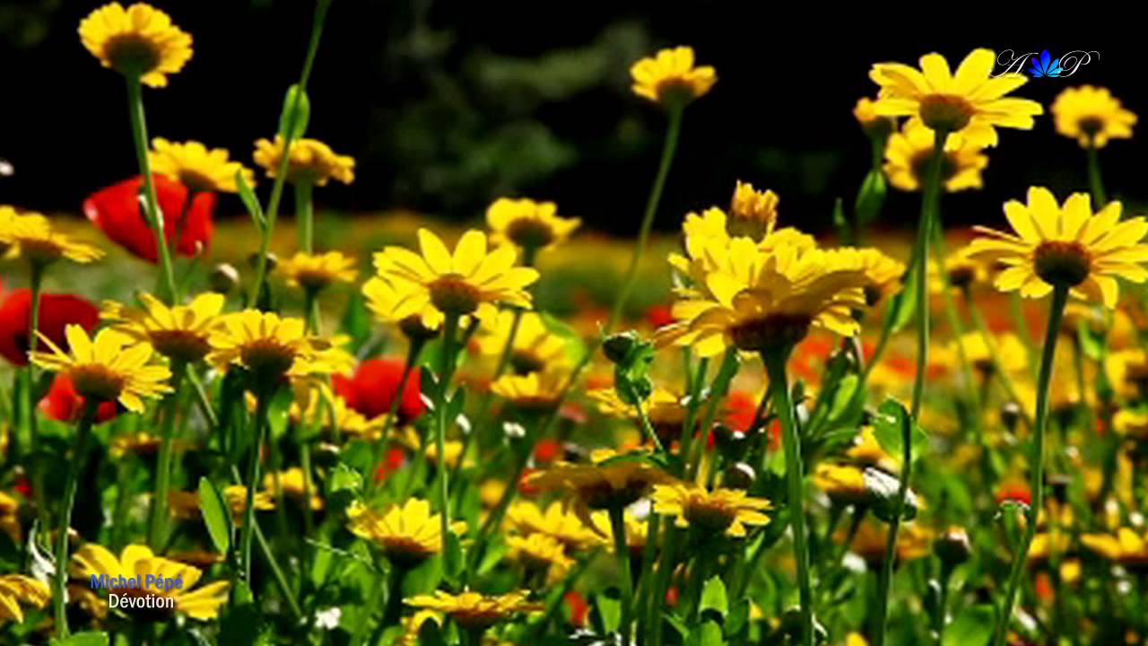 ♡ Michel Pépé - Dévotion (Relaxing music) - YouTube
