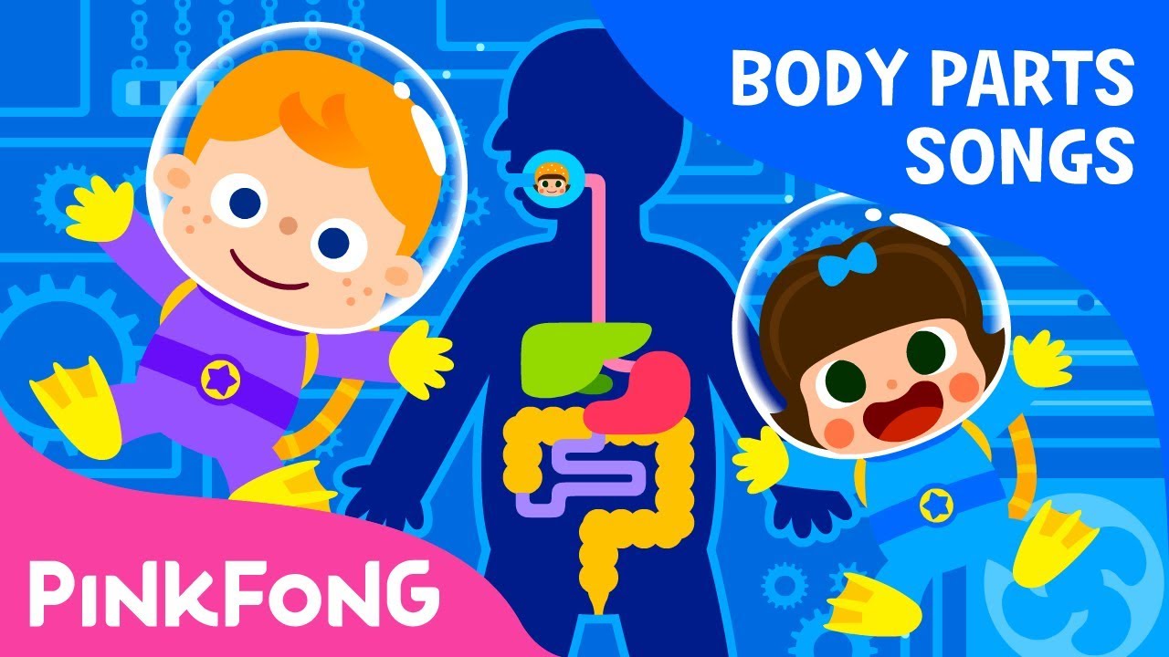 Digestion - Where Does My Food Go? | Body Parts Songs | Pinkfong Songs for Children