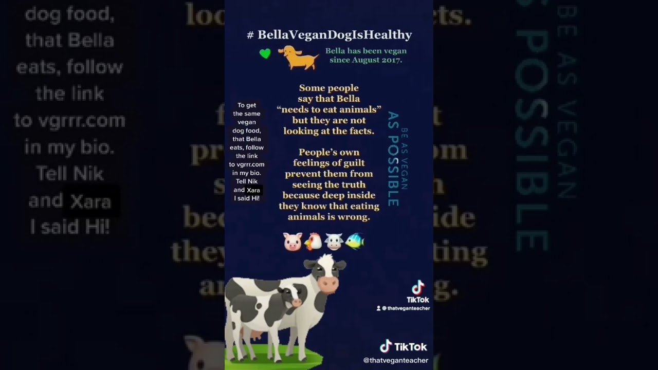 About Bella Vegan Dog’s Food YouTube