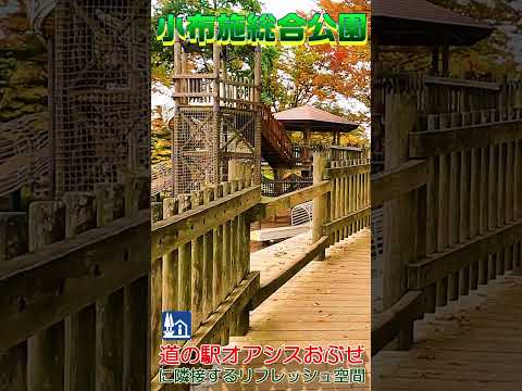 小布施総合公園　"道の駅「オアシスおぶせ」に隣接したリフレッシュ空間"#shorts