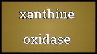 Xanthine Oxidase Meaning